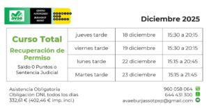 Curso de Sensibilización y Reeducación Vial 5 Curso Recuperacion Permiso Total Diciembre 2025