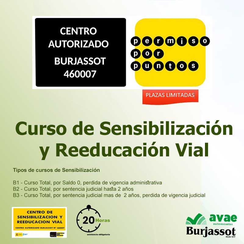 Curso de Sensibilización y Reeducación Vial 1 Curso de Sensibilización y Reeducación Vial