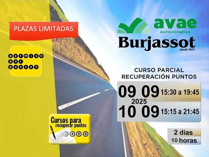 recuperacion puntos permiso conducir