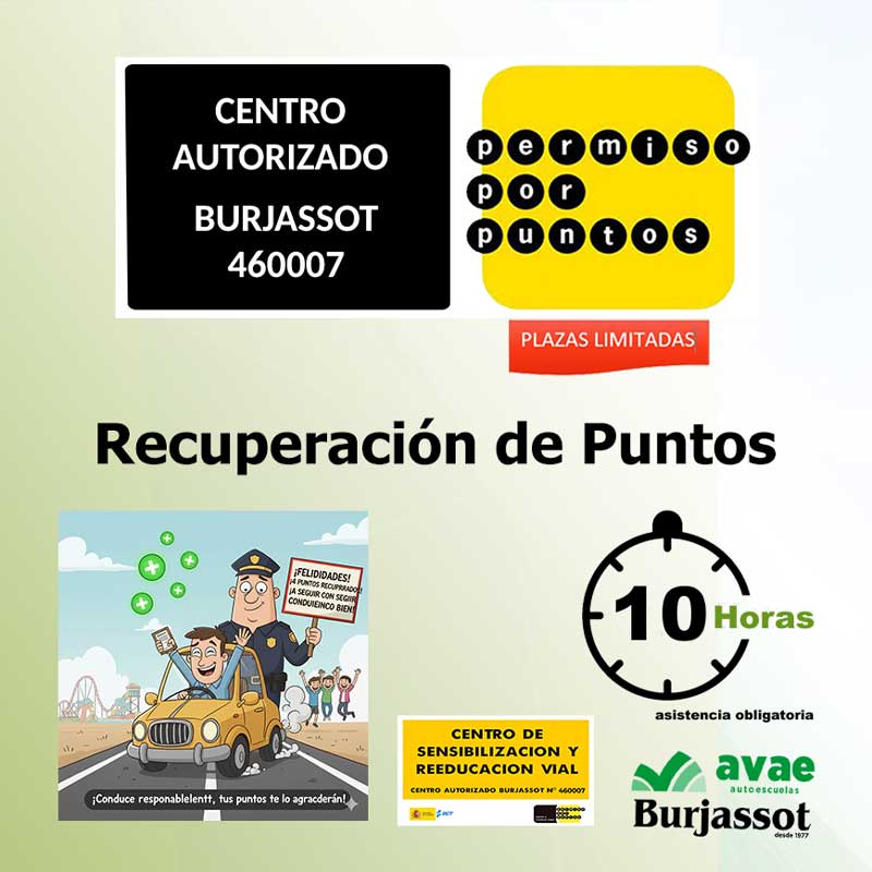 recuperar puntos carnet