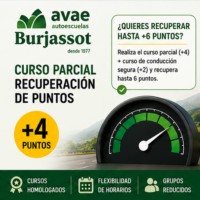 Curso parcial para recuperar 4 puntos del permiso de conducir en Burjassot